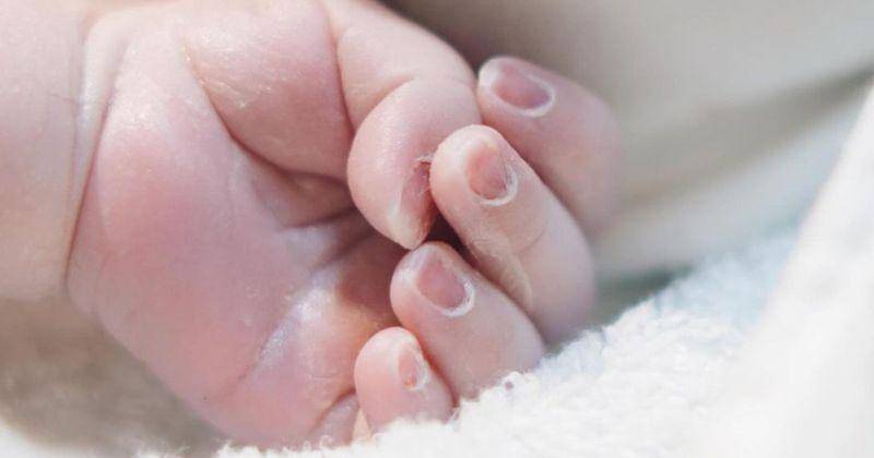 Instagram.com/selvisalavia